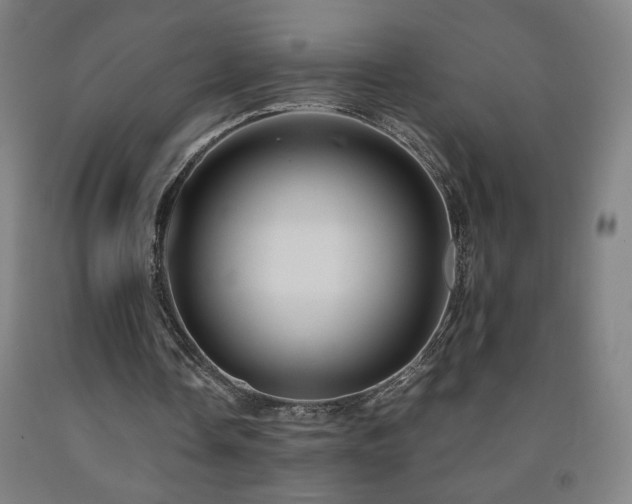 X0000093240338200709261713