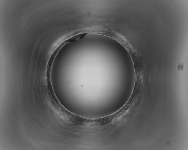 X0000093240340200709261713