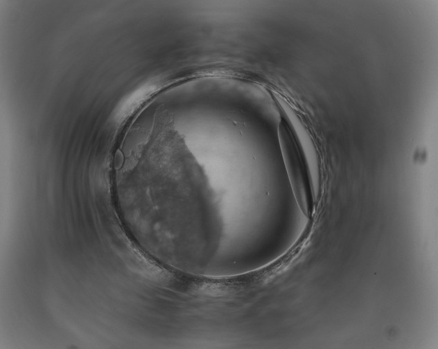 X0000093240341200709261713