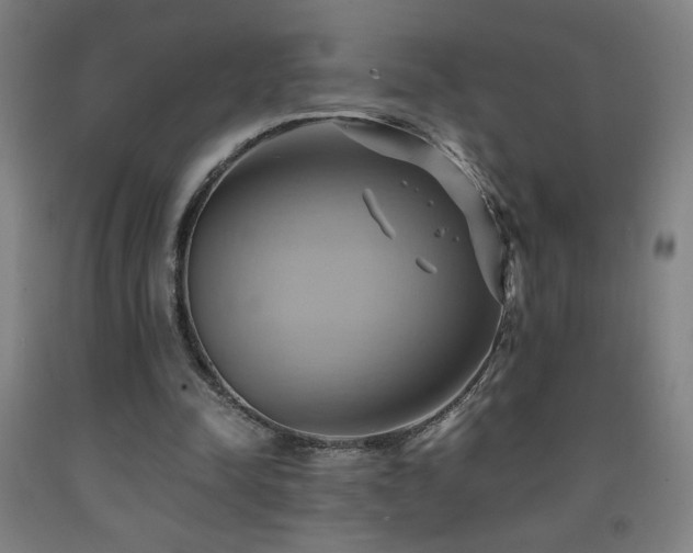 X0000093240342200709261713