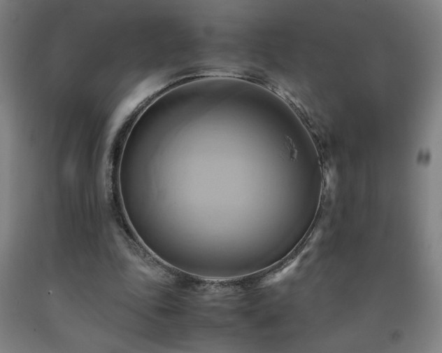 X0000093240343200709261713