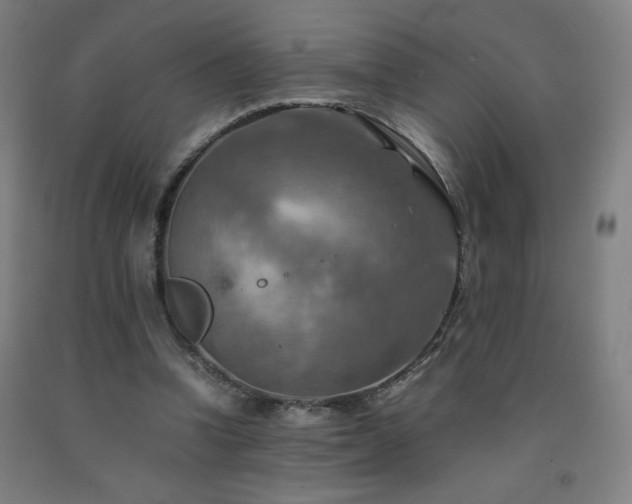 X0000093240346200709261713
