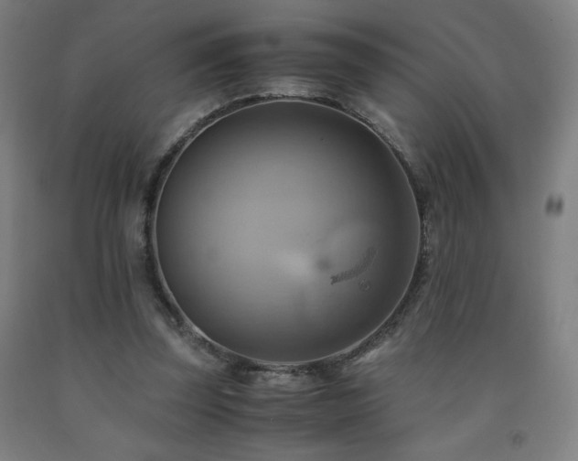 X0000093240347200709261713
