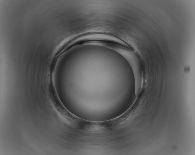 X0000093240348200709261713