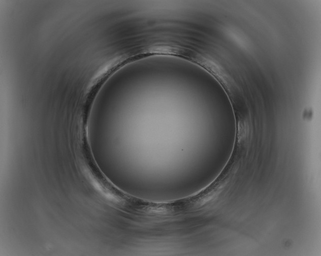 X0000093240349200709261713