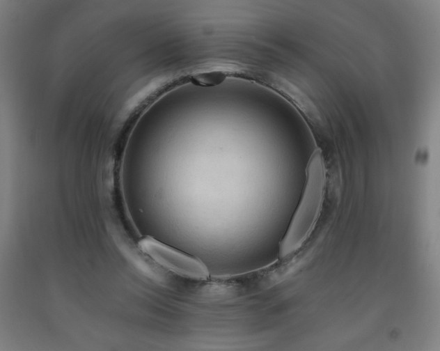 X0000093240350200709261713