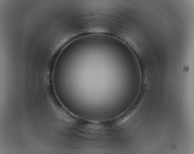 X0000093240351200709261713