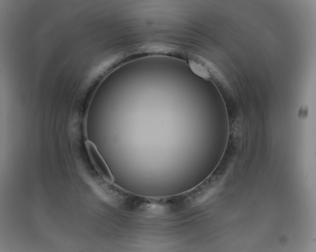 X0000093240352200709261713