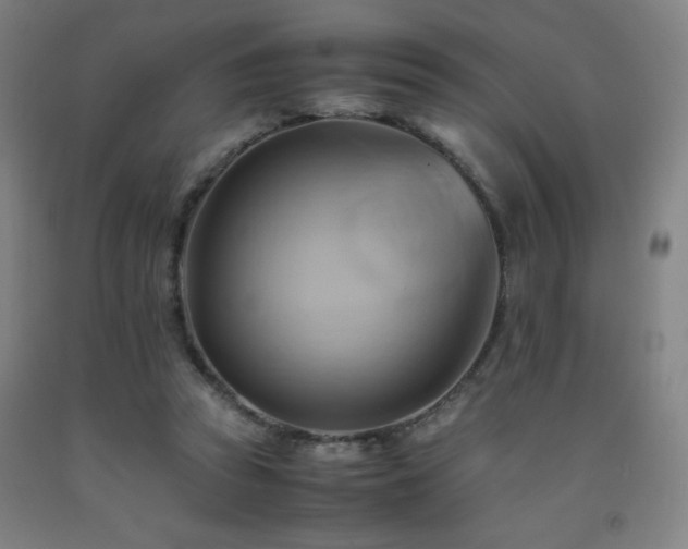 X0000093240353200709261713