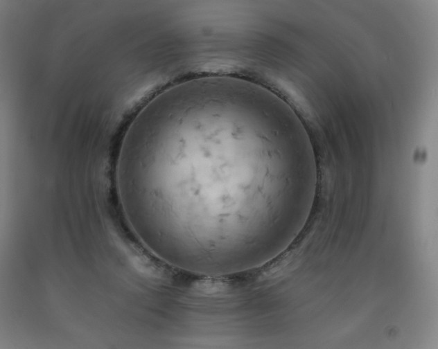 X0000093240354200709261713