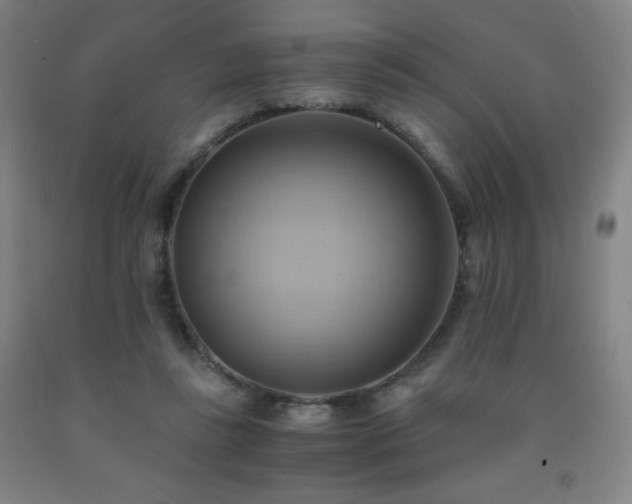 X0000093240355200709261713