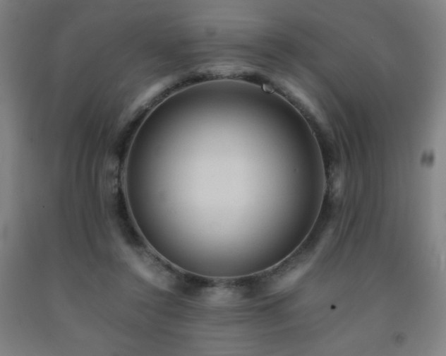 X0000093240356200709261713