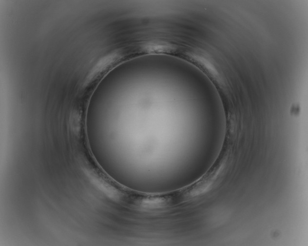 X0000093240357200709261713