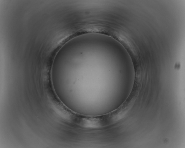 X0000093240359200709261713