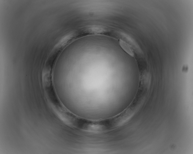 X0000093240360200709261713