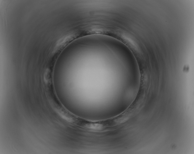 X0000093240361200709261713