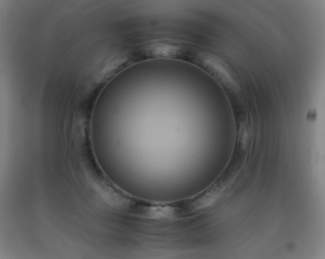 X0000093240363200709261713