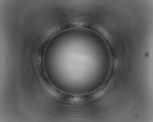 X0000093240365200709261713