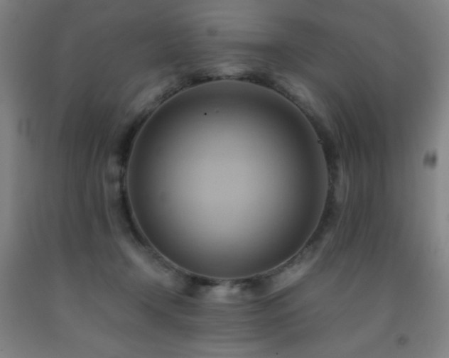 X0000093240366200709261713
