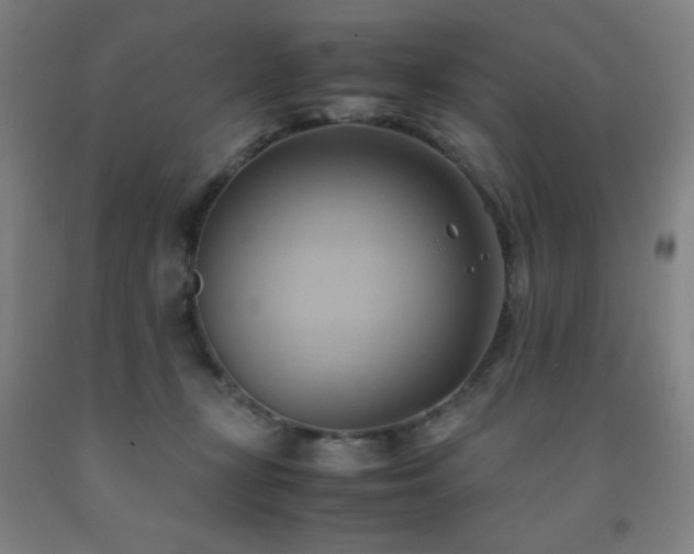 X0000093240367200709261713