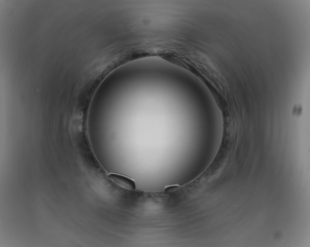 X0000093240368200709261713