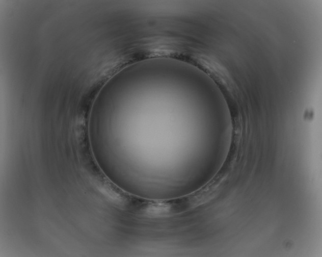 X0000093240369200709261713