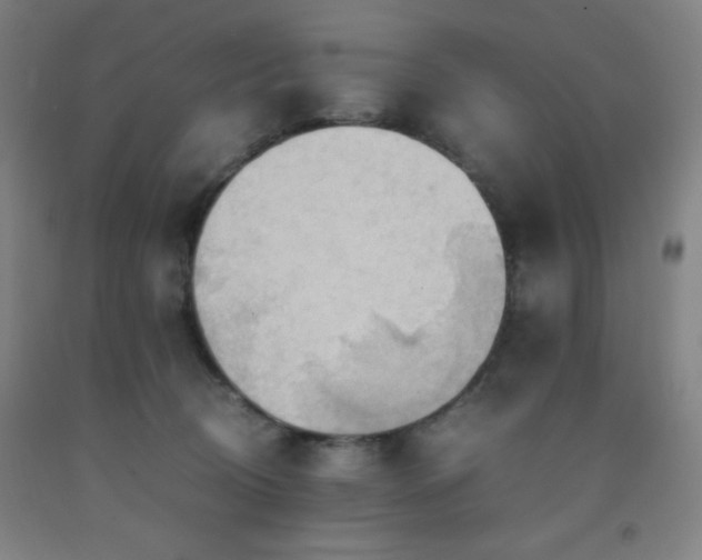 X0000093240370200709261713
