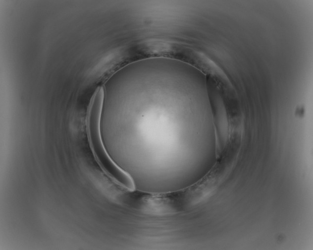 X0000093240372200709261713