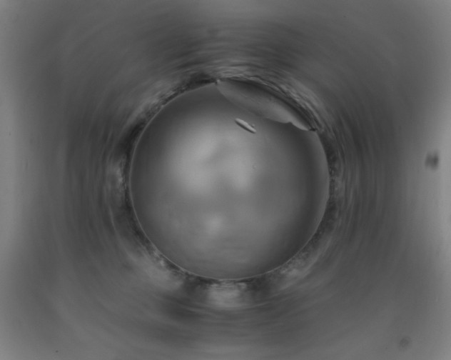 X0000093240373200709261713