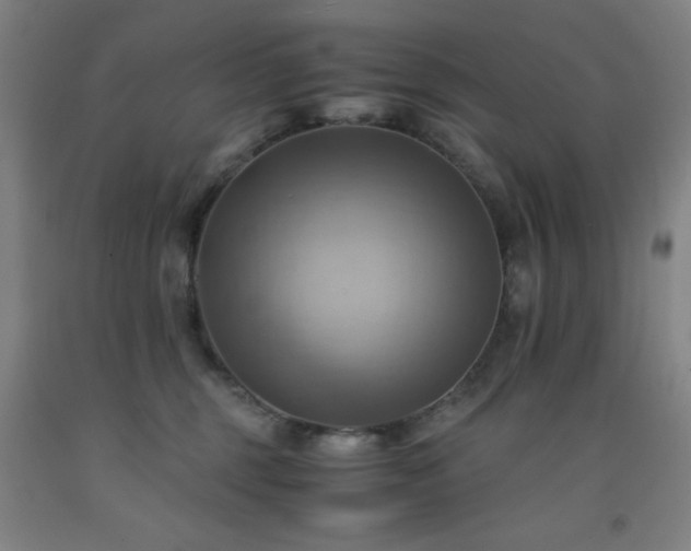 X0000093240375200709261713