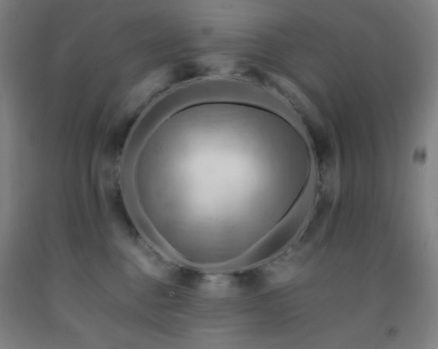 X0000093240376200709261713