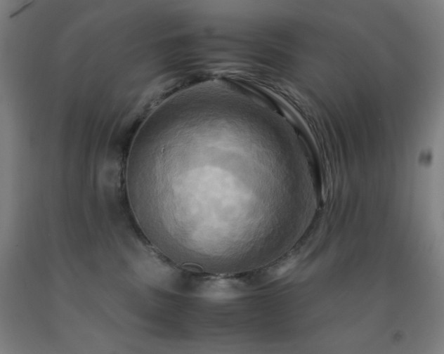 X0000093240379200709261713