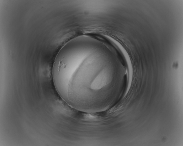 X0000093240380200709261713
