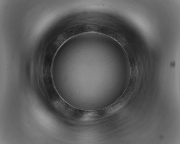 X0000093240382200709261713