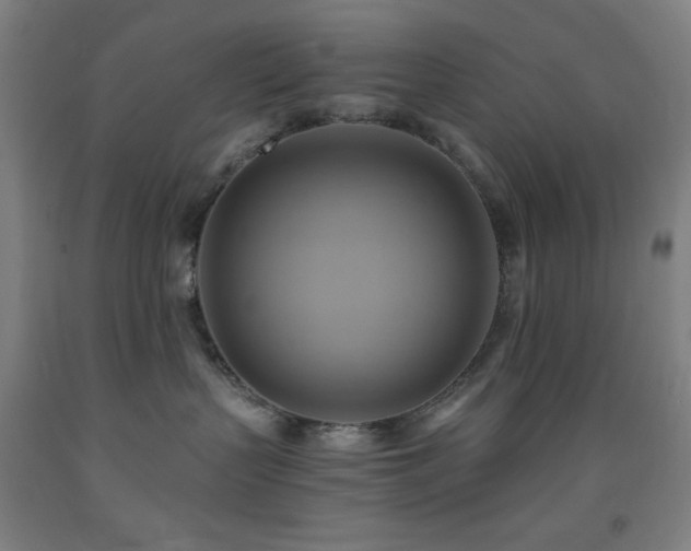 X0000093240383200709261713