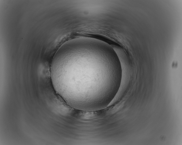 X0000093240384200709261713