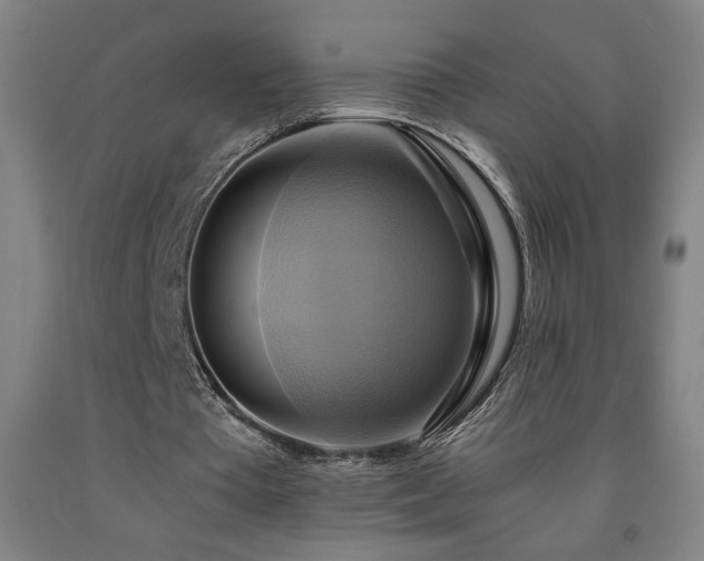 X0000093240385200709261713