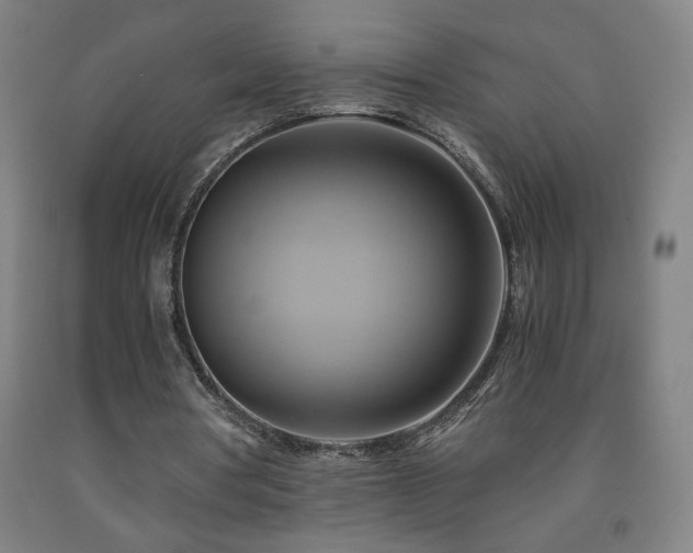 X0000093240386200709261713