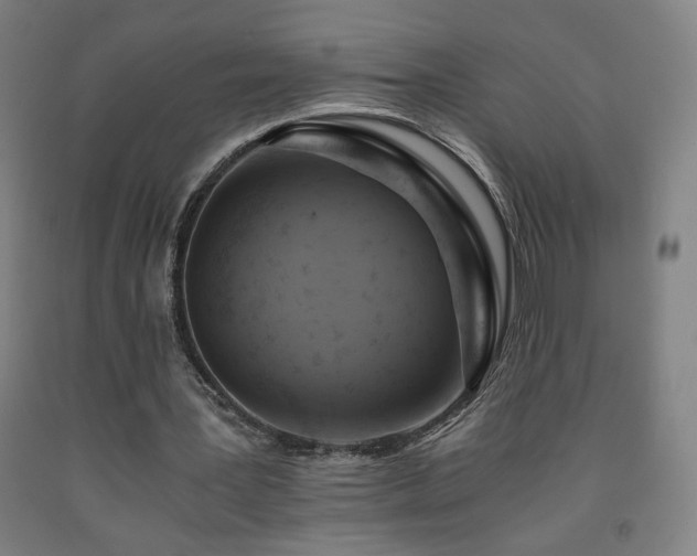 X0000093240387200709261713