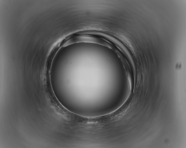 X0000093240388200709261713