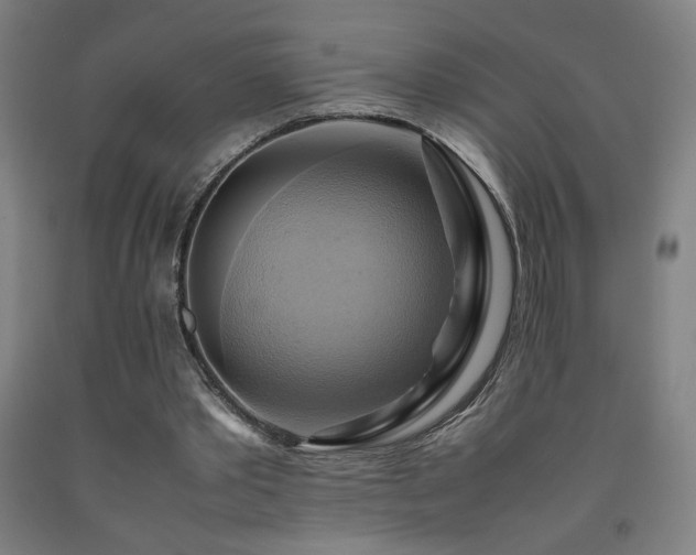 X0000093240389200709261713
