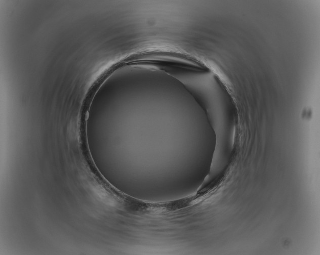 X0000093240391200709261713