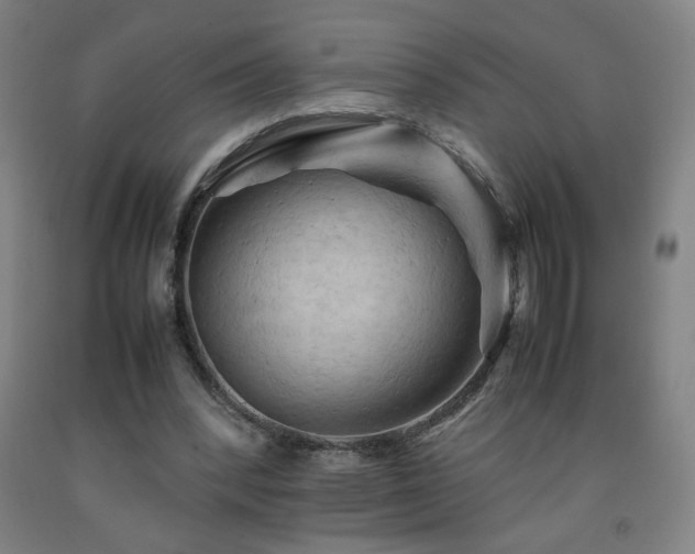X0000093240392200709261713