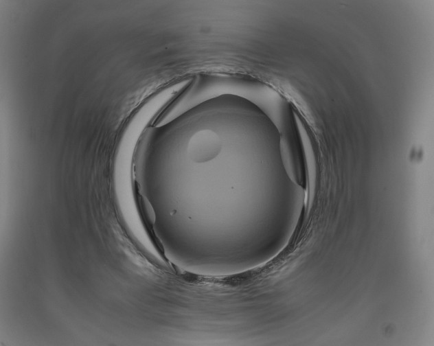 X0000093240393200709261713