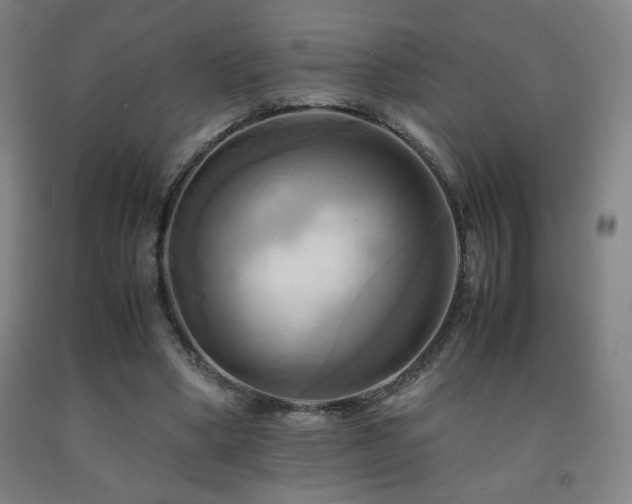 X0000093240394200709261713
