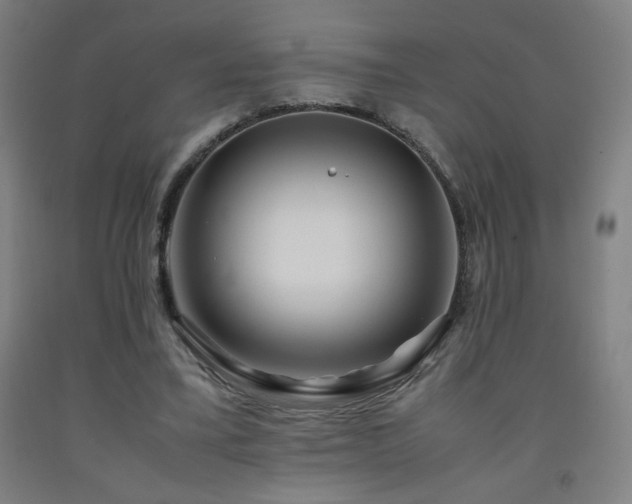 X0000093240395200709261713