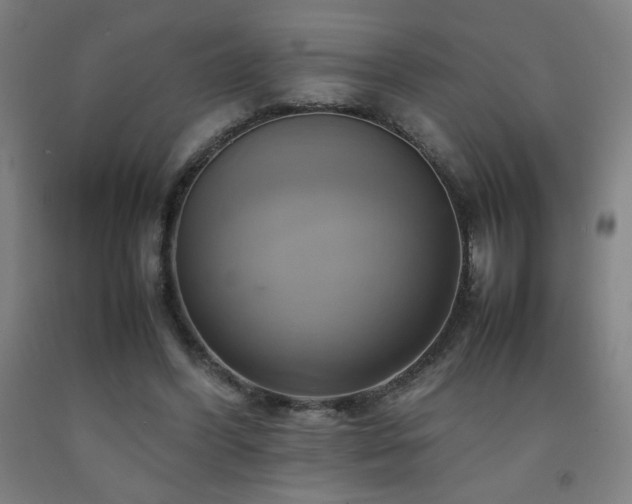 X0000093240396200709261713
