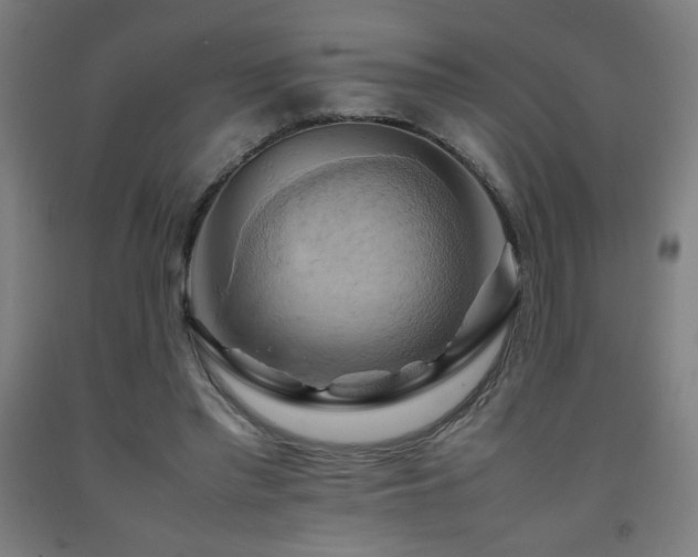 X0000093240397200709261713