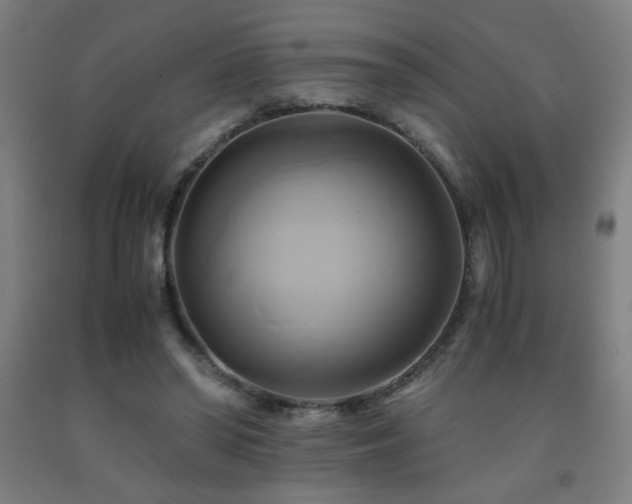 X0000093240398200709261713
