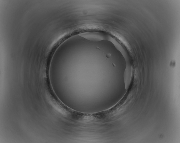 X0000093240399200709261713